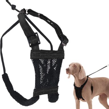 Best Dog Harness To Stop Pulling